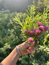 Load image into Gallery viewer, ◊◊ Oil of Enchantment ◊◊