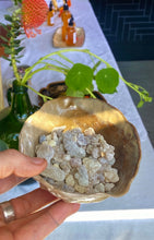 Load image into Gallery viewer, 4 oz Dr. Frankincense
